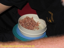 Traditionelle Tauchertaufe 