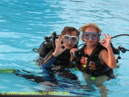 Training Flipper 2 2009