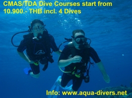 www.phuketsunshinevilla.com